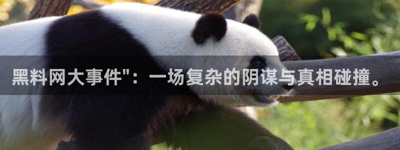 顶流男星被曝隐瞒婚史，前妻晒出聊天记录实锤